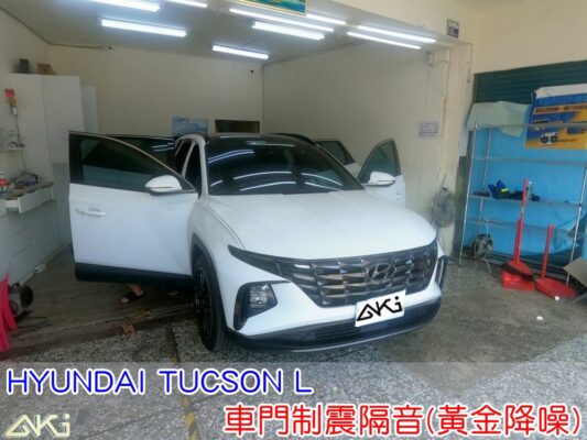 車門隔音 車門制震 車門吸音 車門內部隔音結構 門板隔音工程 車門制震墊 門板制震處理